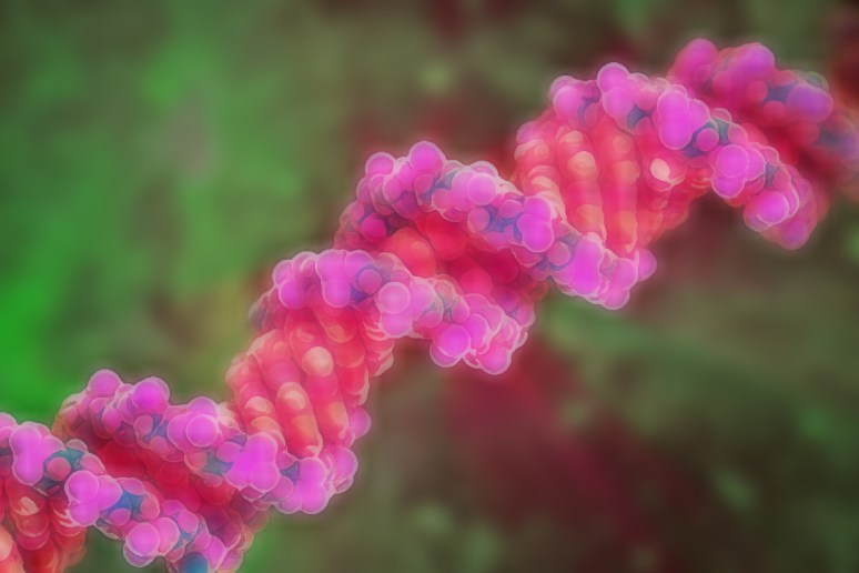 dna-neandertaler2-wp